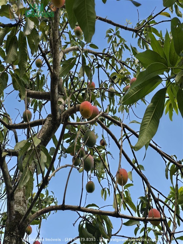 Casa a Venda no Martinelli em Penedo (Itatiaia)