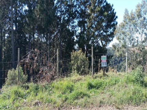 Terreno à Venda